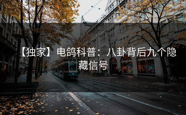【独家】电鸽科普：八卦背后九个隐藏信号