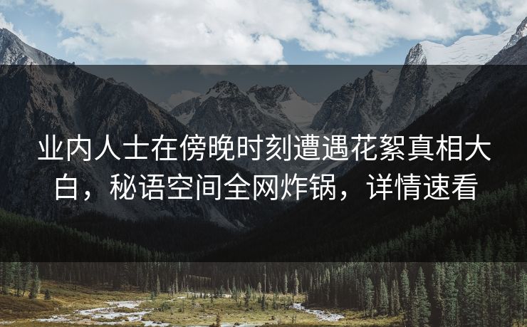 业内人士在傍晚时刻遭遇花絮真相大白，秘语空间全网炸锅，详情速看